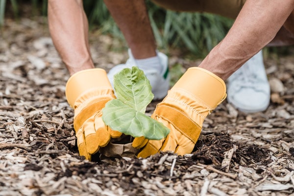 Nature Education